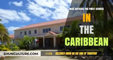 Was Antigua's Historic School the Caribbean's Pioneer Educational Institution?