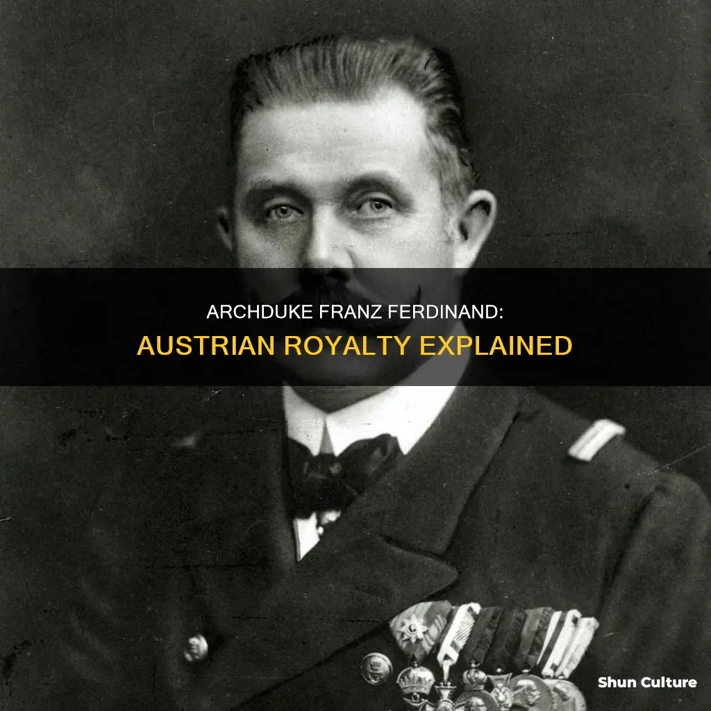 was archduke franz ferdinand apart of austria