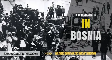 The Tragic Assassination of Archduke Franz Ferdinand in Bosnia