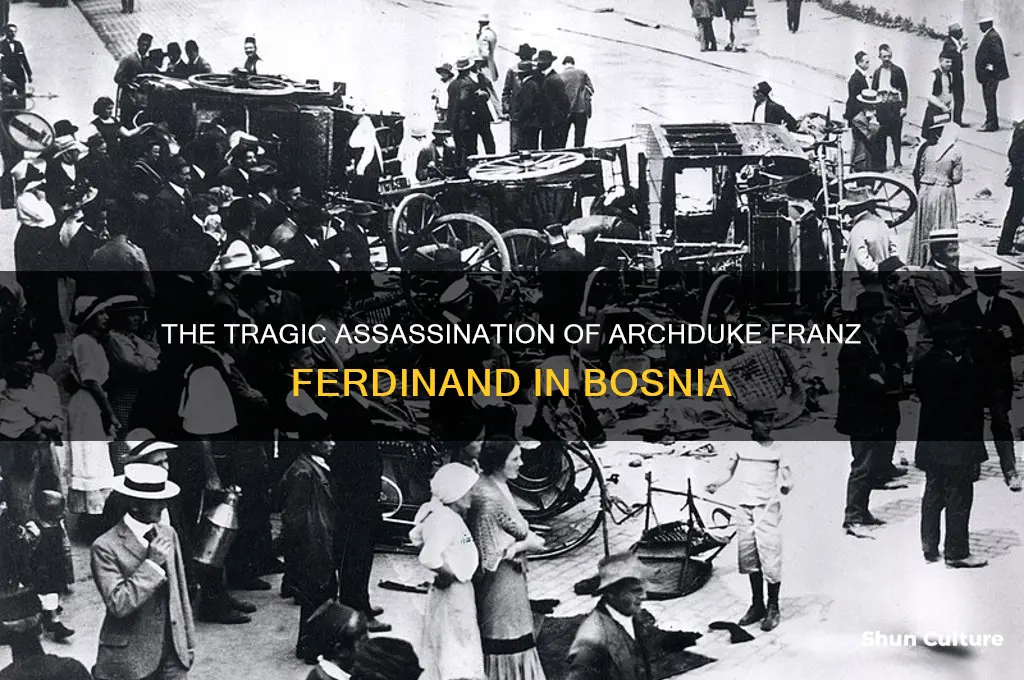 was assassinated in bosnia