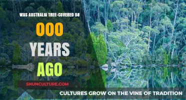 Was Australia a Forest 58,000 Years Ago? Uncovering Ancient Landscapes