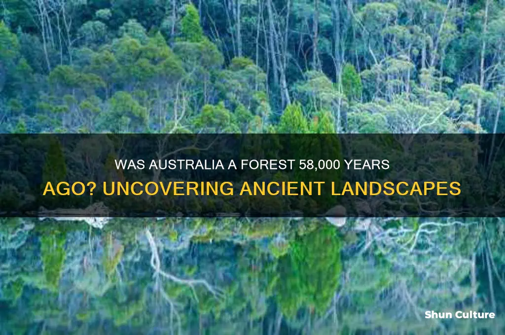 was australia tree-covered 58 000 years ago