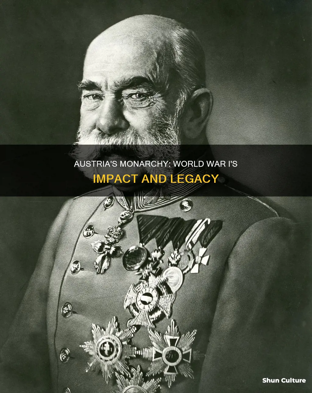 was austria a monarchy in world war 1