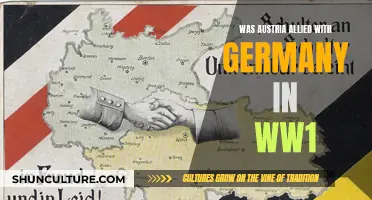 Austria's Alliance with Germany: The World War I Impact