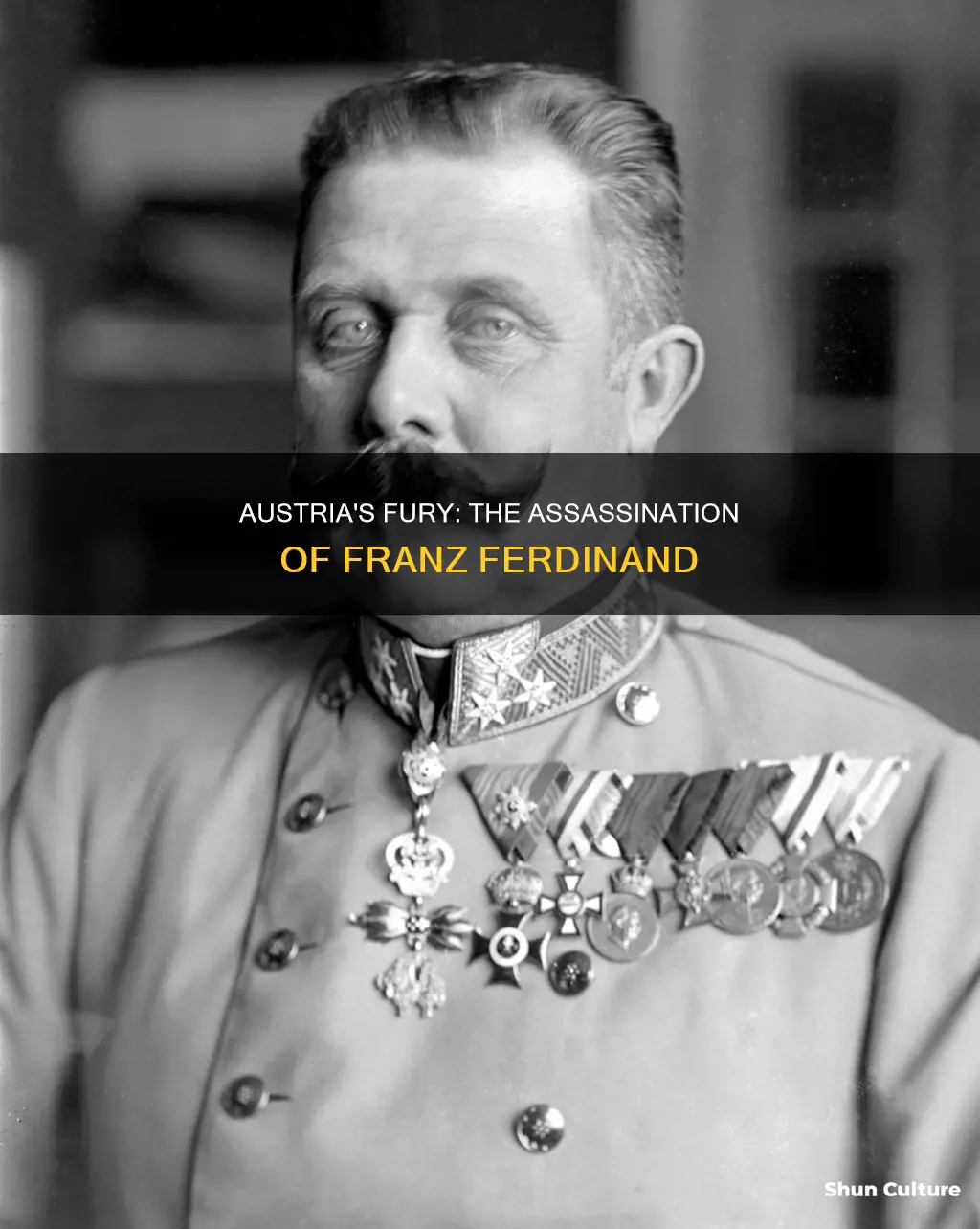 was austria angry about the assassination of franz ferdinand