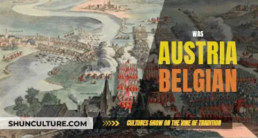 Austria and Belgium: A Historical Perspective on Their Relationship