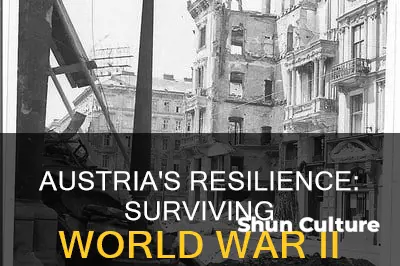 was austria damaged in ww2