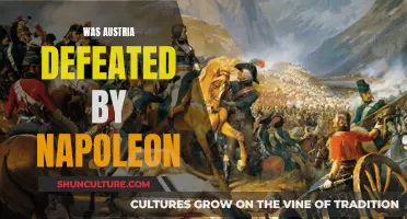 Napoleon's Conquest: Austria's Defeat and Napoleon's Triumph