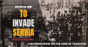 Austria's Invasion Plans: Serbia's Fate in WWI