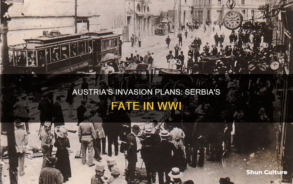 was austria going to invade serbia