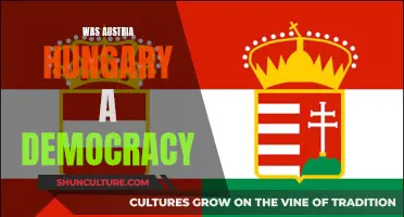 Austria-Hungary: Democratic or Not?