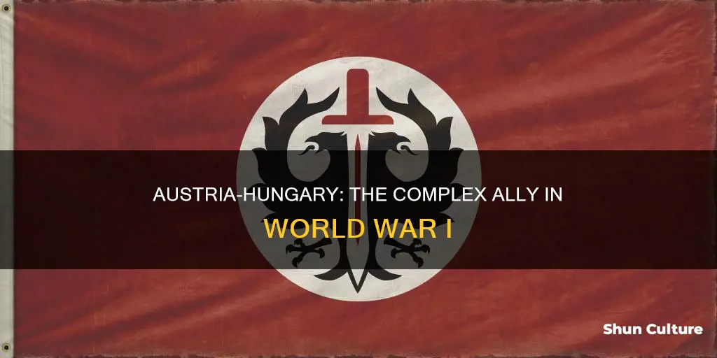 was austria hungary a part of the allies in ww1