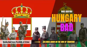 Austria-Hungary: A Dysfunctional Empire?