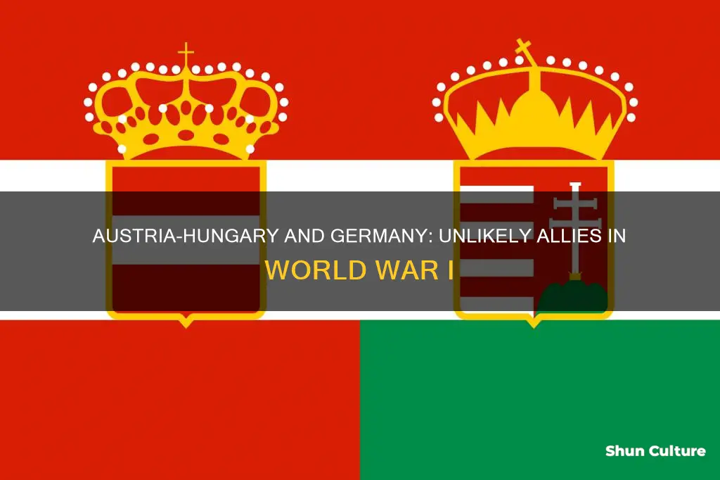 was austria hungary fighting germany in ww1