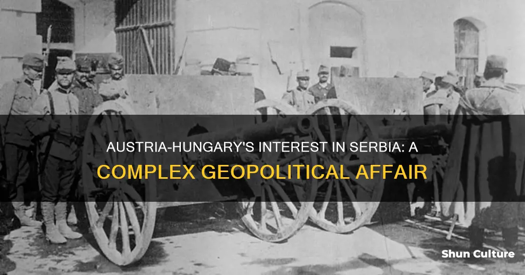 was austria hungary interested in serbia