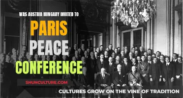 Austria-Hungary: Paris Peace Conference Inclusion?