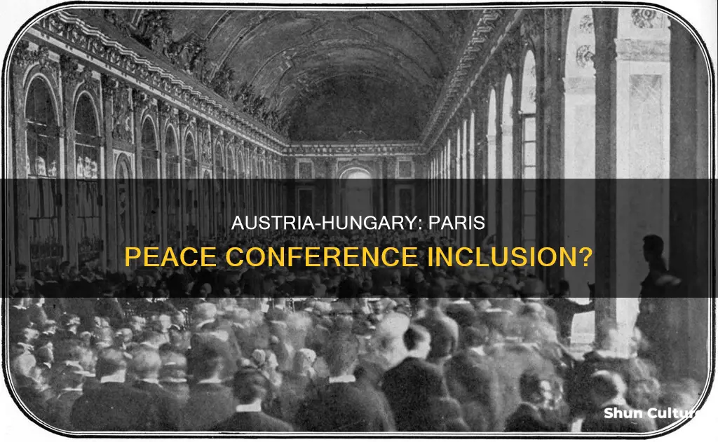 was austria hungary invited to paris peace conference