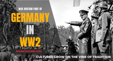 Austria's WWII Alliance: Germany's Comrade-in-Arms?