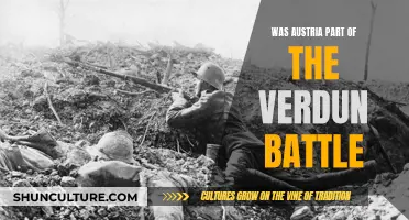 Austria's Involvement in the Battle of Verdun