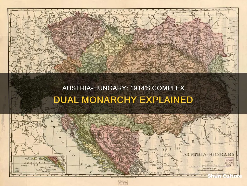 was austria the same things as austria-hungary in 1914