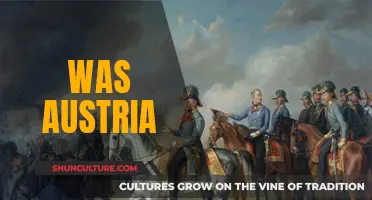 Austria's Historical Legacy: A Complex Past