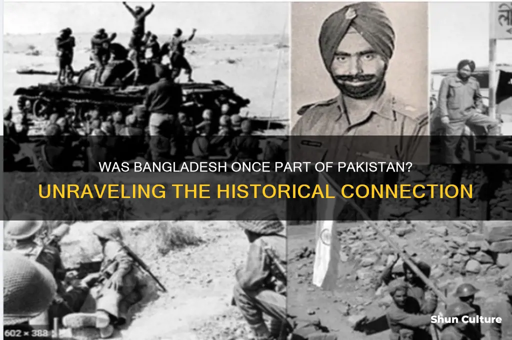 was bangladesh pakistan before