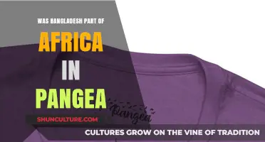 Was Bangladesh Once Part of Africa in Pangea? Exploring Ancient Connections
