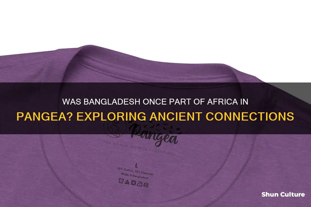 was bangladesh part of africa in pangea