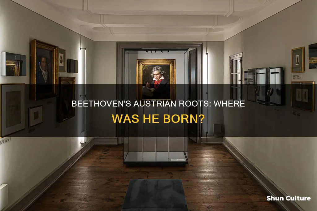 was beethoven born in austria