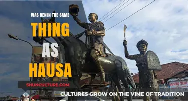 Exploring the Historical Confusion: Benin and Hausa Kingdoms Compared