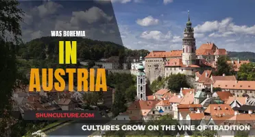 Bohemia's Austrian History: Understanding the Past