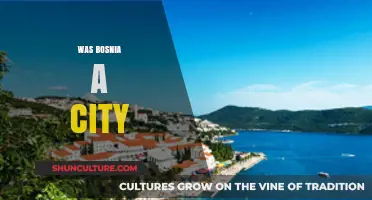 Was Bosnia a City? Unraveling the Historical and Geographical Truth