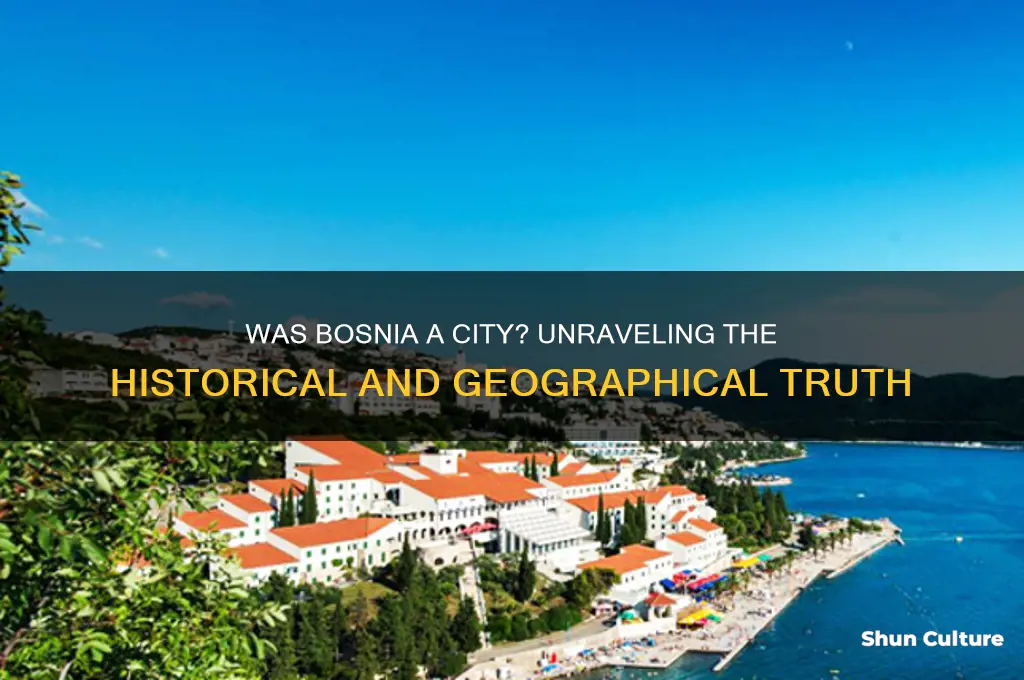 was bosnia a city