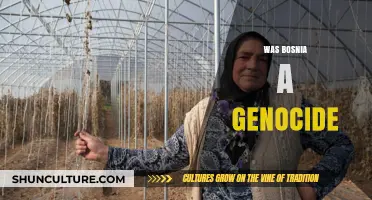 Bosnia's Dark Legacy: Examining the Genocide Allegations and Historical Truth