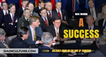 Bosnia's Peace Process: A Successful Resolution or Ongoing Challenge?