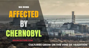Chernobyl's Shadow: Bosnia's Unseen Struggles Post-Disaster