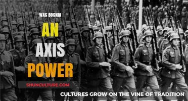 Was Bosnia an Axis Power? Unraveling the Historical Truth