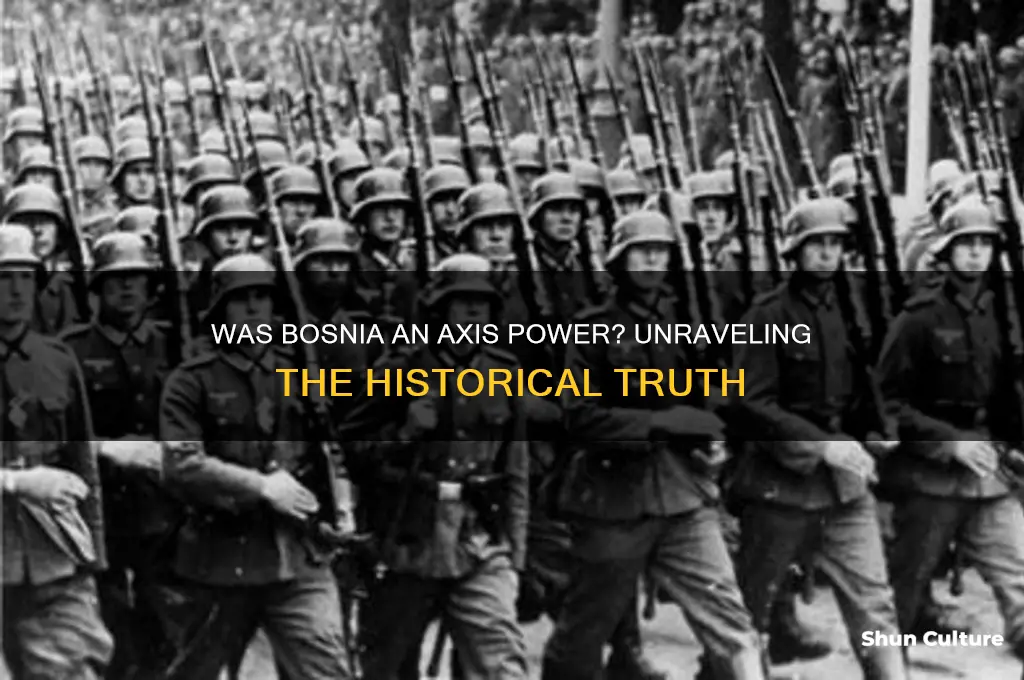 was bosnia an axis power