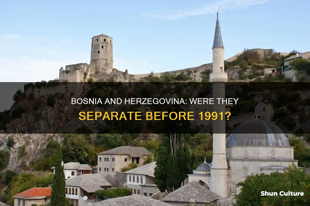 was bosnia and hergonzia seperate countries before 1991