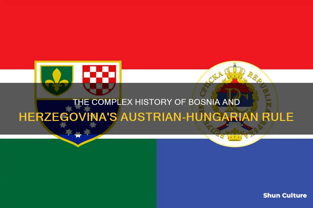 was bosnia and herzegovina part of austria hungary