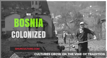 Was Bosnia Colonized? Unraveling the Historical Occupation and Influence