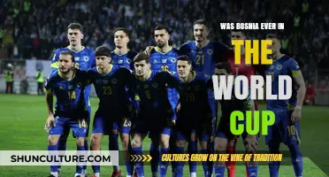 Bosnia's World Cup Journey: A Historic Qualification and Legacy