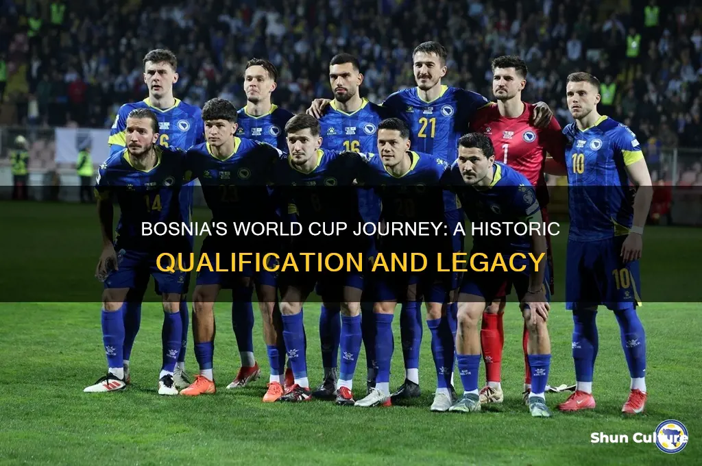 was bosnia ever in the world cup