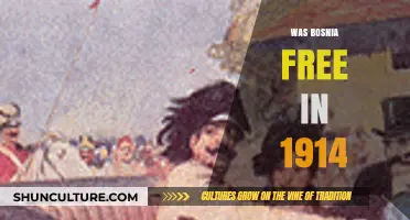Bosnia's Sovereignty in 1914: Free or Under Imperial Control?