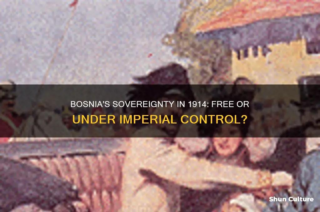 was bosnia free in 1914