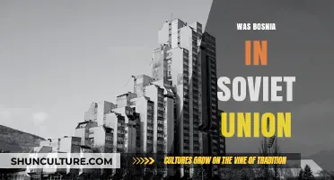 Was Bosnia Part of the Soviet Union? Historical Facts Explained