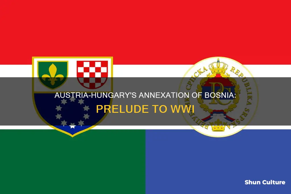 was bosnia independent of austria suring wwi