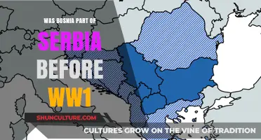 Bosnia's Pre-WW1 Status: Was It Part of Serbia?