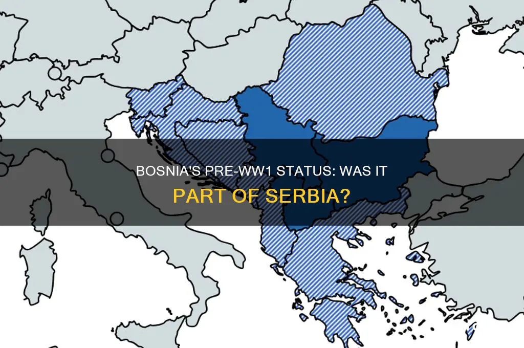 was bosnia part of serbia before ww1
