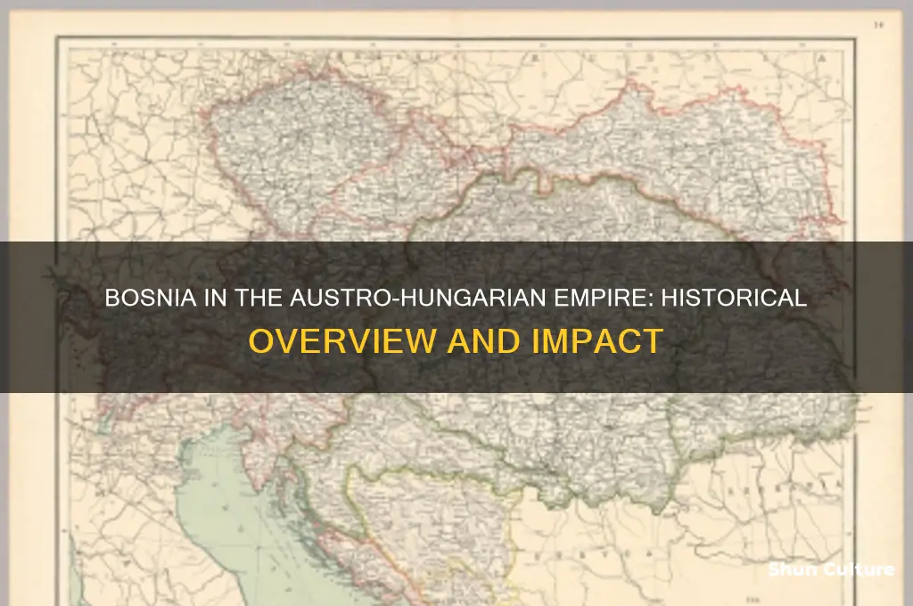 was bosnia part of the austro hungarian empire
